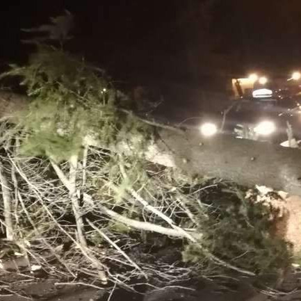 'BALVAN REVOLUCIJA' Blokade puteva i sukobi u Crnoj Gori, četiri policajca povrijeđena