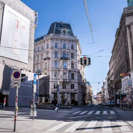 Inicijative: Bosanci u Austriji u borbi za status nacionalne manjine