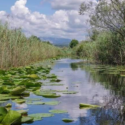 Šta je 'Plava propusnica' između BiH, Crne Gore i Hrvatske