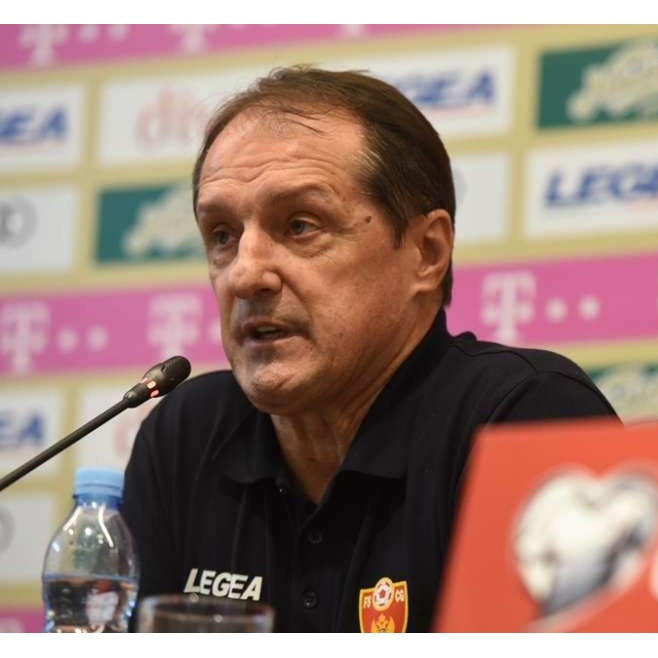 Faruk Hadžibegić novi selektor BiH