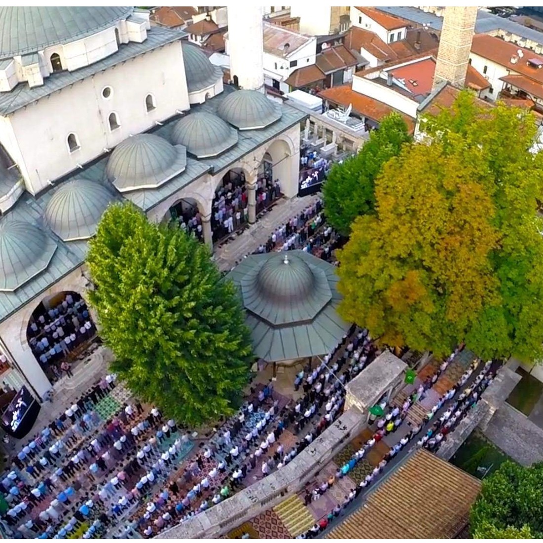 Islamska zajednica odredila iznos sadekatul-fitra i nisab za zekat