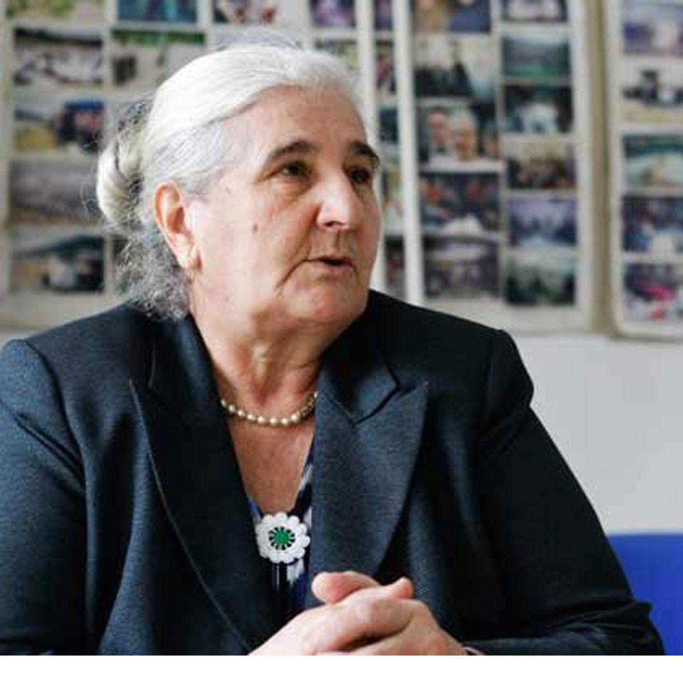 Subašić: Iznenađena sam da nizozemska vojska ponovo dolazi u BiH