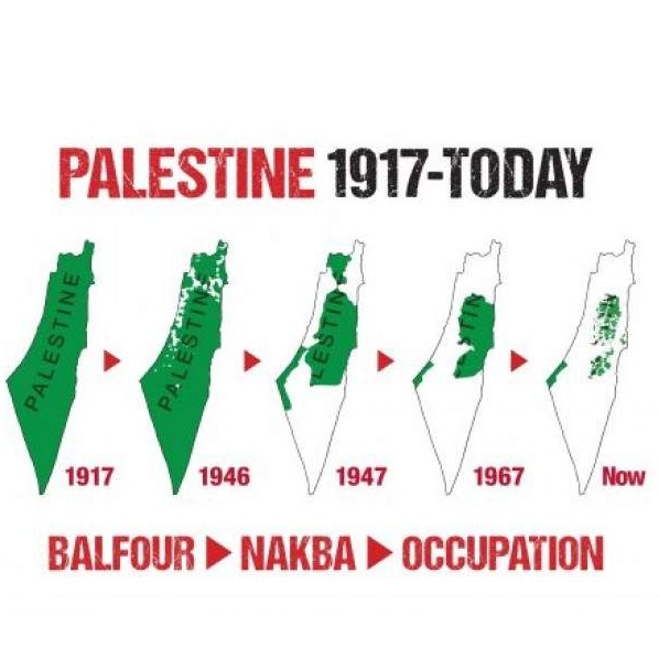 Osman Softić: Represija nad Palestincima najveći je moralni i politički problem moderne civilizacije