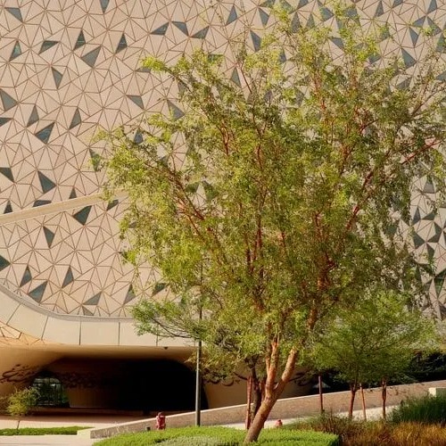 Od Sarajeva do Dohe: Prilika za master studij islamske etike uz stipendiju