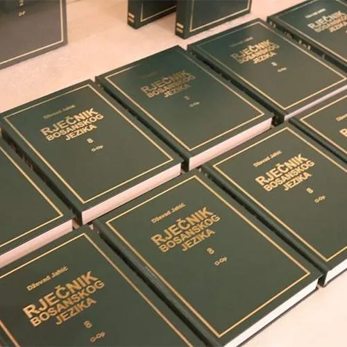 Kako odgovoriti negatorima bosanskog jezika?