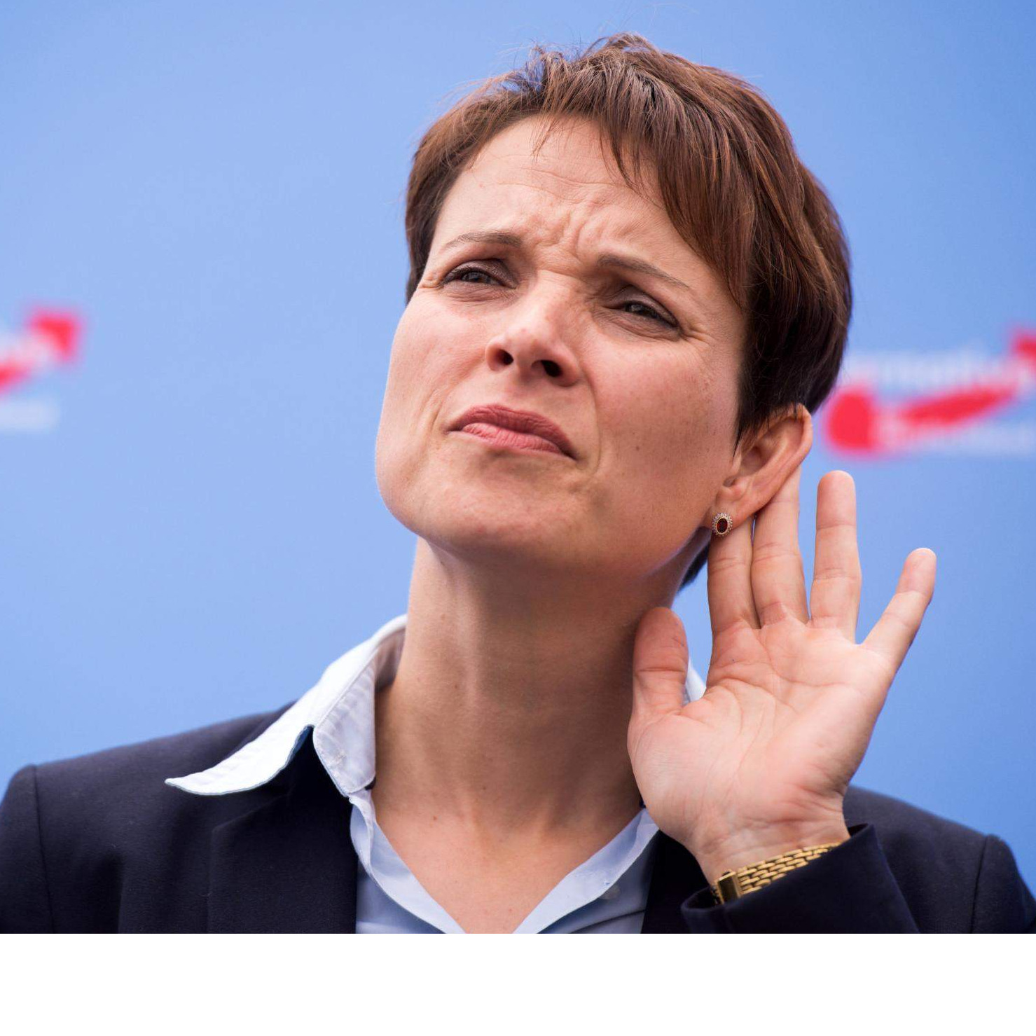 Petry: Muslimani se mogu integrirati ako odbace 'politički' islam