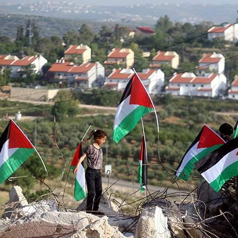 Teror: Izraelski doseljenici ukrali zalihe maslina u palestinskim selima