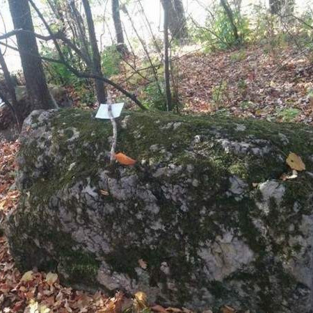 U Kaknju znatno veći broj stećaka nego što su pokazivala istraživanja
