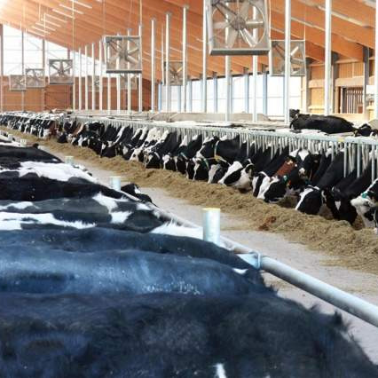 Farma Spreča želi uložiti u Kalesiji 38,5 miliona KM