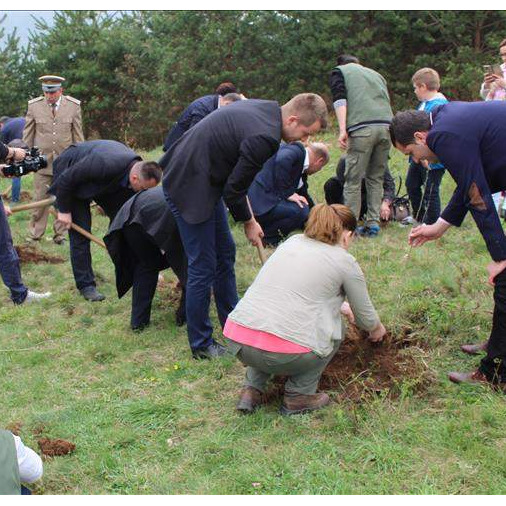 Završena sadnja Memorijalne šume 8.372 iznad Goražda