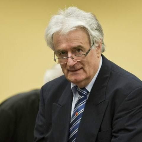 Zločinac Karadžić traži ponovno suđenje