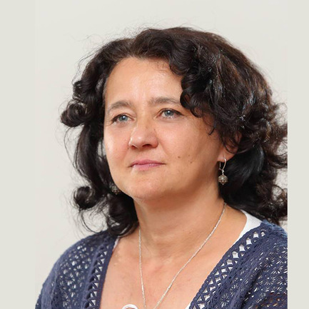 Kome 'smeta' bosanski jezik na Univerzitetu 'Džemal Bijedić' u Mostaru?