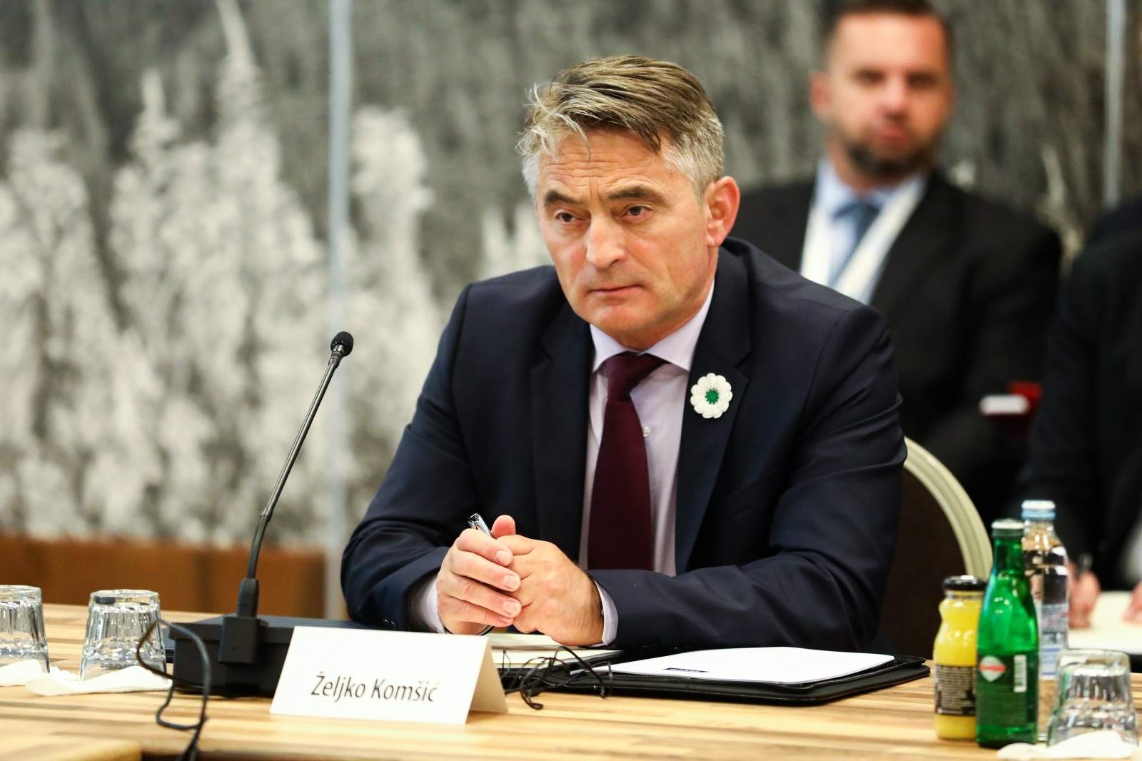 Komšić za "Danas": Srbijanska politika o genocidu je civilizacijska močvara