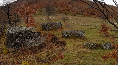 Nekropola-stećaka-Kik-‒-Pridvorci.png - EKSKLUZIVNO | Džemaludin Latić: Bosanski ikavski jezik u Skopaljskoj dolini