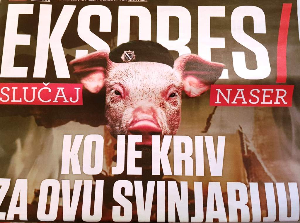 Skandalozno: Srbijanski sedmičnik objavio svinjsku glavu s beretkom i grbom s liljanima