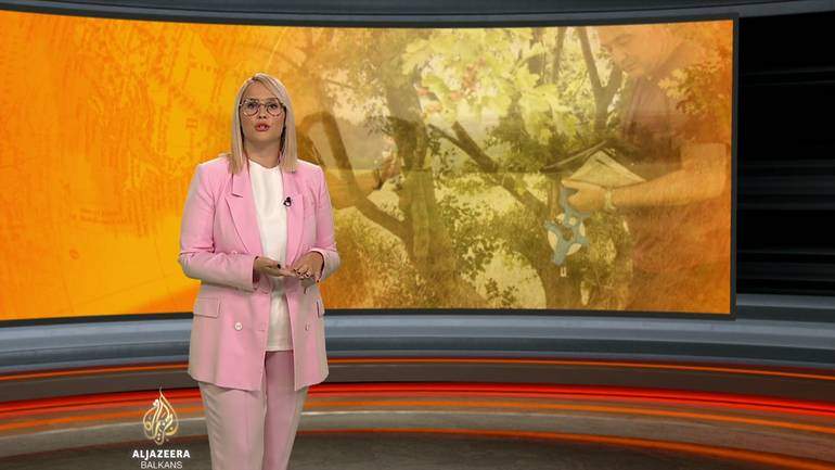 Al Jazeera Svijet: Zašto pada Tesla? (Video)