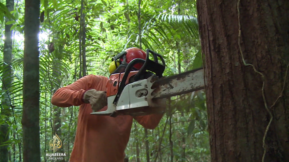 Al Jazeera Svijet: Ugrožena pluća svijeta